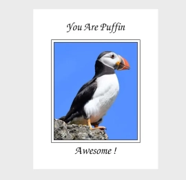 Puffin 11 Awesome